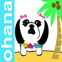 Ohana Island Grooming, L.P. | 150 N Delaware Ave, Lindenhurst, NY 11757 | Phone: (631) 747-7393