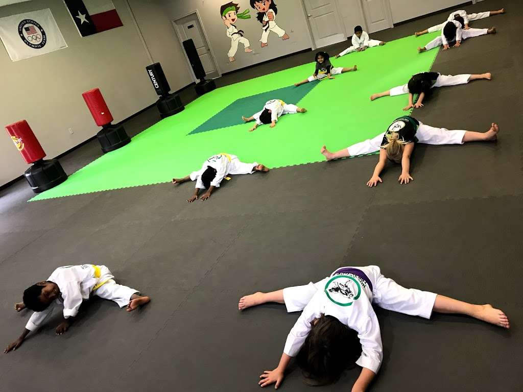 Reza Naderian Taekwondo Academy | 5205 S Mason Rd #80, Katy, TX 77450 | Phone: (281) 717-4738