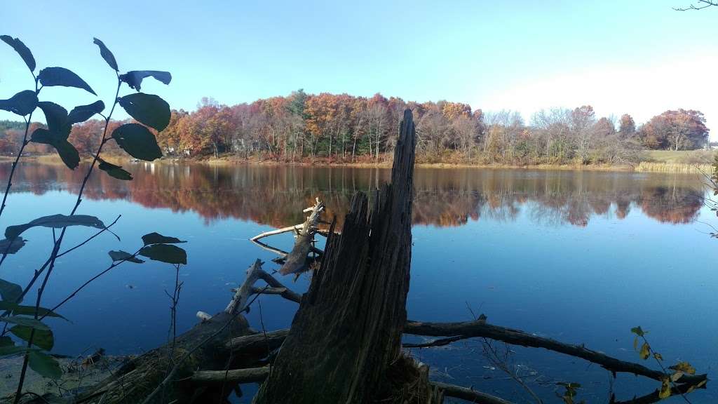 Winning Pond | North Billerica, MA 01862, USA