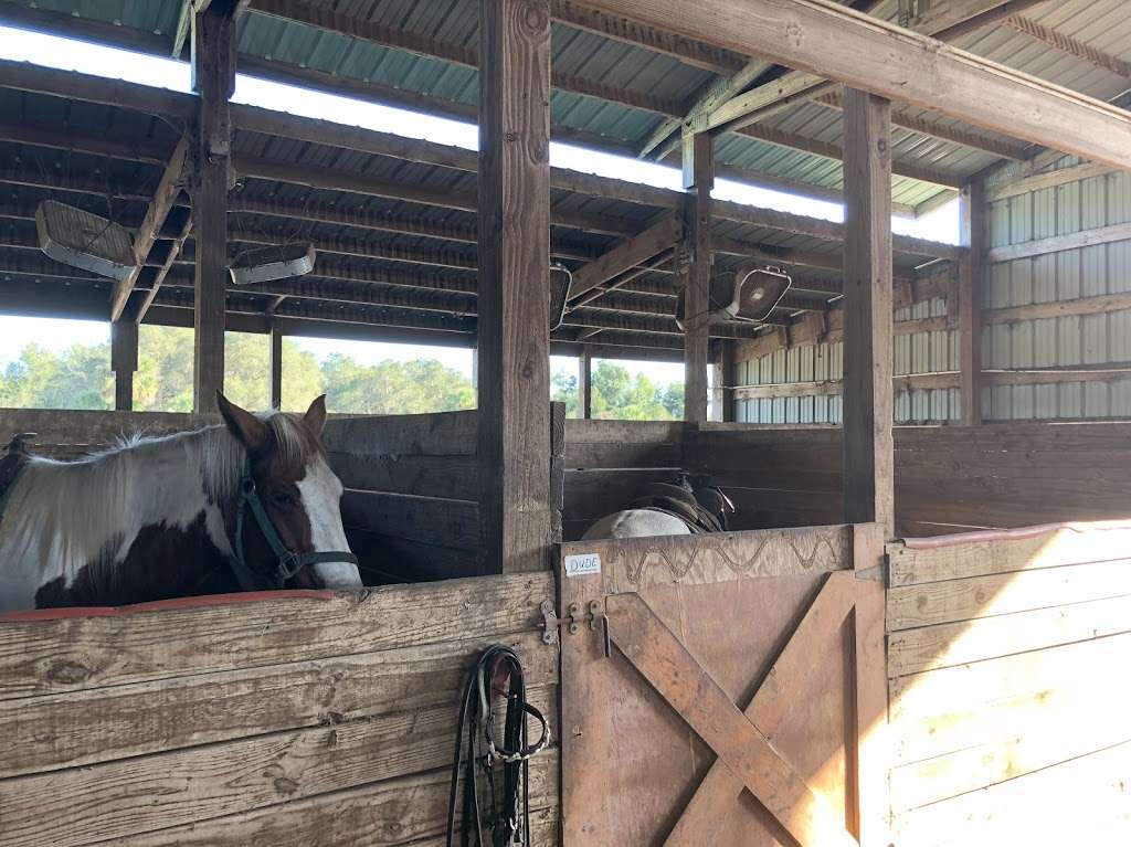 Rock Springs Run Trail Rides | Sorrento, FL 32776 | Phone: (352) 266-9326