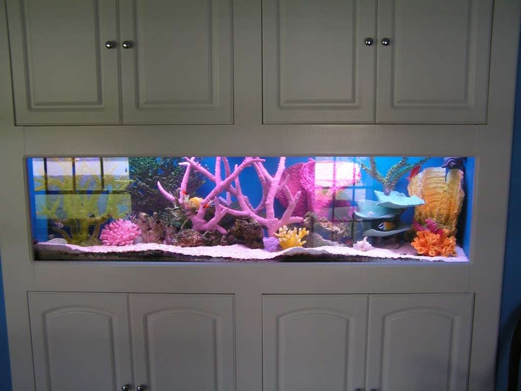 Aquatic Creations | 12729 1/2 foothill blvd, Sylmar, CA 91342 | Phone: (818) 370-9778