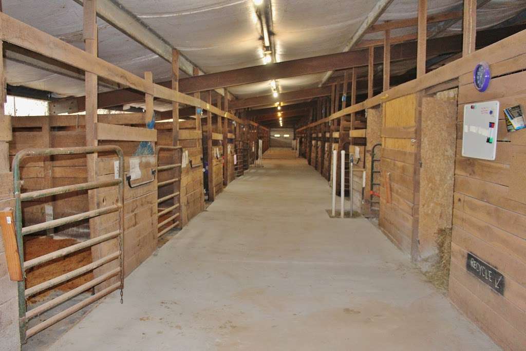 Robinson Equestrian | 36 Deardorff Road, Back Barn, Dillsburg, PA 17019, USA | Phone: (717) 609-7753