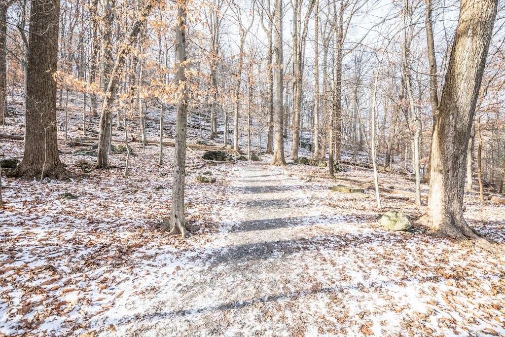 Cunningham Falls | Lower Trail - Red Blaze, Smithsburg, MD 21783, USA