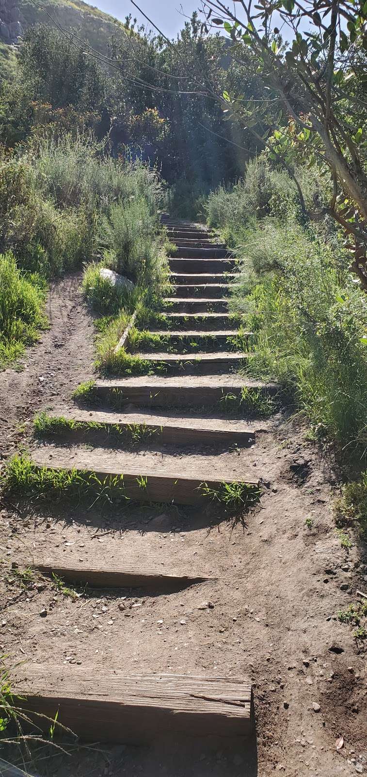 Mission Trails Jackson | 1 Father Junipero Serra Trail, San Diego, CA 92120, USA | Phone: (619) 668-3281