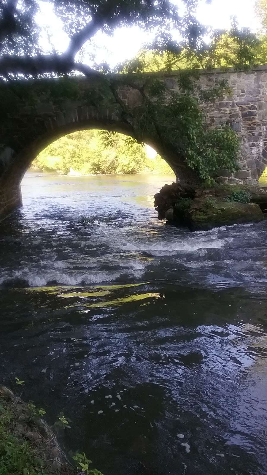 Antietam Creek Canoe | 19005 Lappans Rd, Boonsboro, MD 21713, USA | Phone: (240) 447-0444