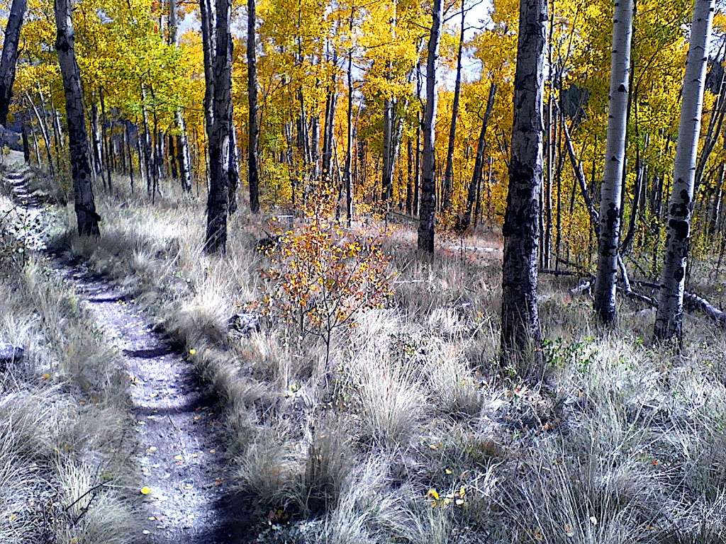 Colorado Trail Section #5 Trailhead | Colorado Trail, Jefferson, CO 80456, USA