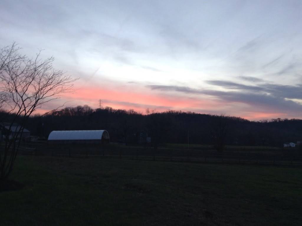 Saddle Lake Equestrian Center | 2369 Nelson Rd, Melbourne, KY 41059, USA | Phone: (859) 635-3773