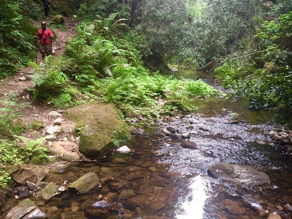 West Waddell Creek State Wilderness | Davenport, CA 95017, USA