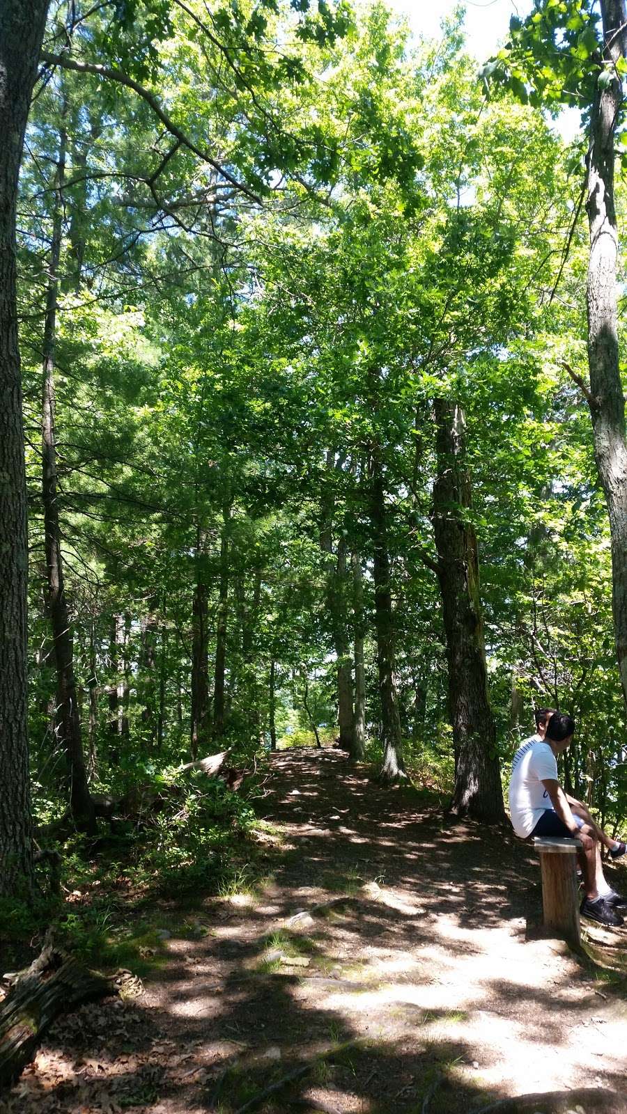 J.C. Phillips Nature Preserve | Wenham, MA 01984, USA