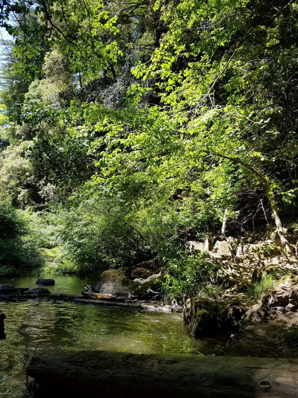 Memorial Park, Wurr Flat #2 | 9500 Pescadero Creek Rd, Loma Mar, CA 94021, USA | Phone: (650) 879-0238 Memorial Park, Wurr Flat #2 | 9500 Pescadero Creek Rd, Loma Mar, CA 94021, USA | Phone: (650) 879-0238