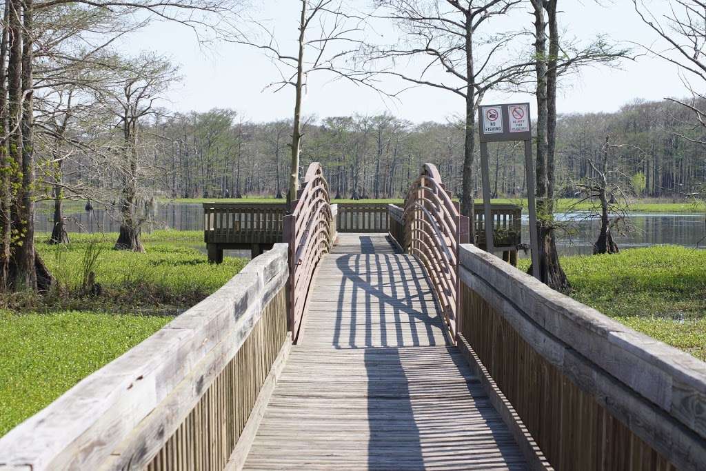 Trinity River Waterbird Rookery | I-10 Frontage, Wallisville, TX 77597, USA | Phone: (409) 389-2285