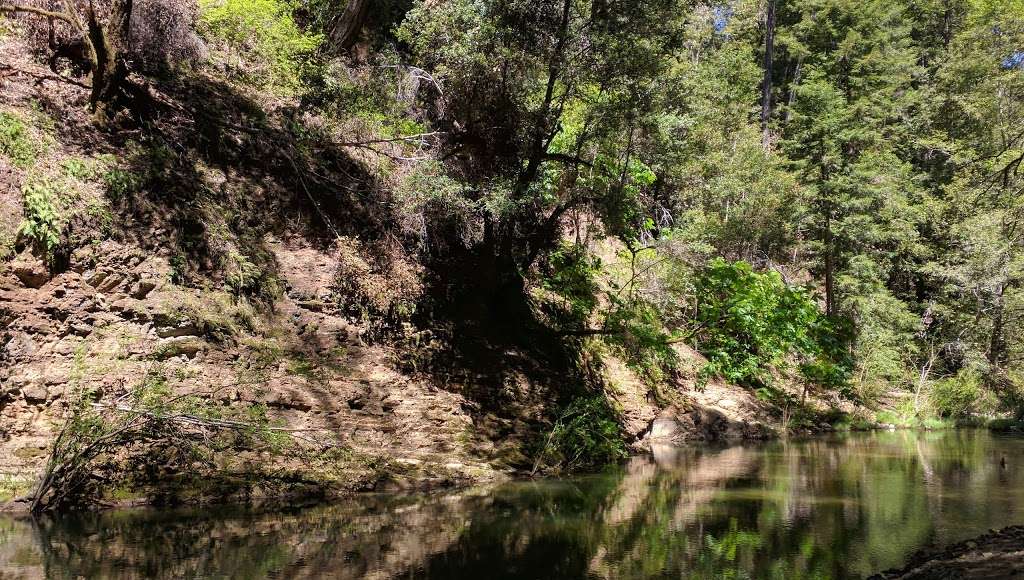 Point Group Camp, Portola Redwoods State Park | Point Group Camp Rd, La Honda, CA 94020, USA Point Group Camp, Portola Redwoods State Park | Point Group Camp Rd, La Honda, CA 94020, USA