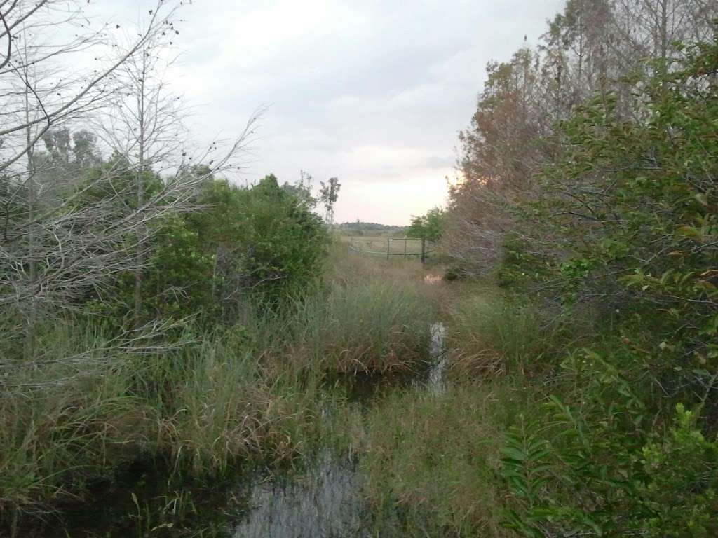Chapel Trail Nature Preserve | 19800 Sheridan St, Pembroke Pines, FL 33332, USA | Phone: (954) 450-6895
