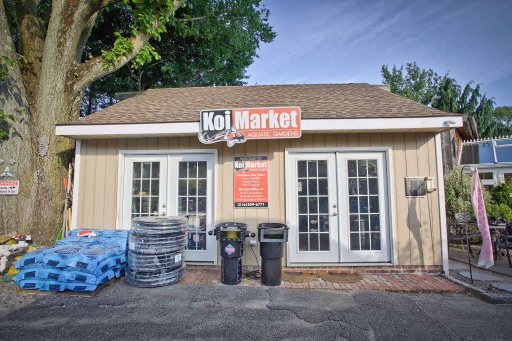 Koi Market Aquatic Gardens | 475 Main St, Huntington, NY 11743, USA | Phone: (516) 809-6771