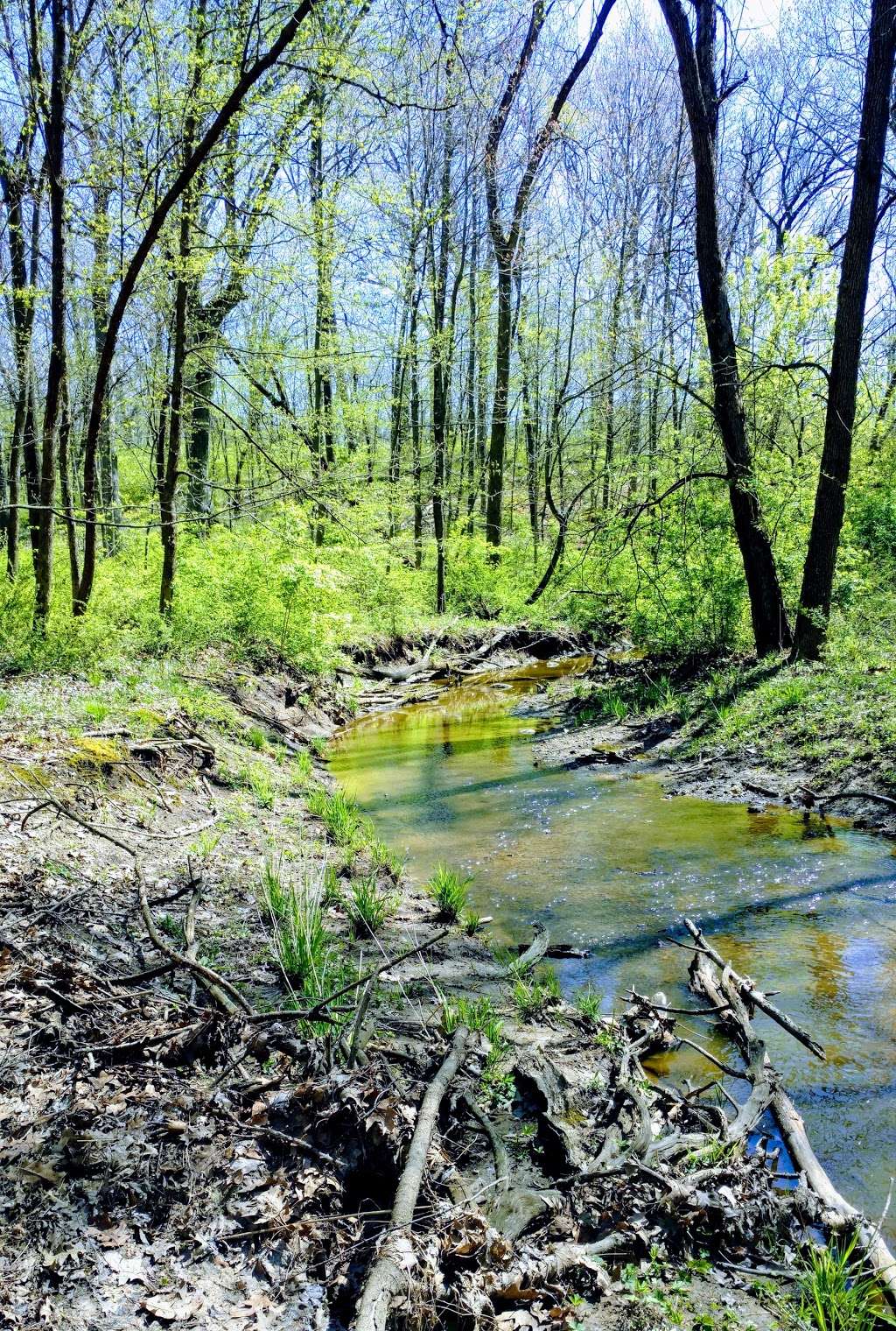 White Oak Woods | Palos Hills, IL 60465, USA | Phone: (800) 870-3666