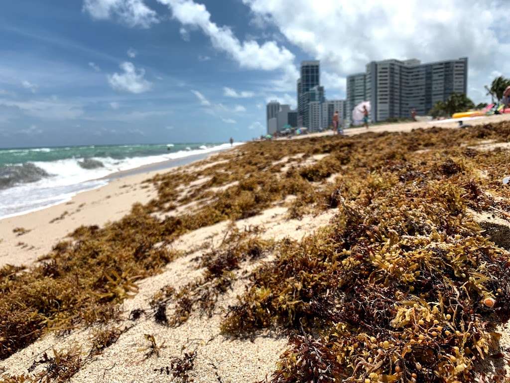 74th STREET LIFEGUARD TOWER | 7601 Atlantic Way, Miami Beach, FL 33141, USA | Phone: (305) 673-7714