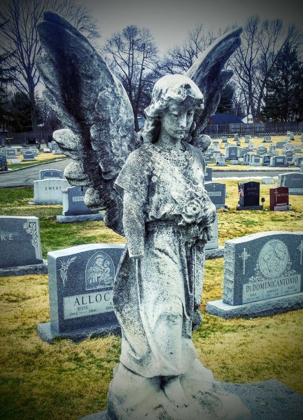 Saint Vincent Cemetery | Madison, NJ 07940