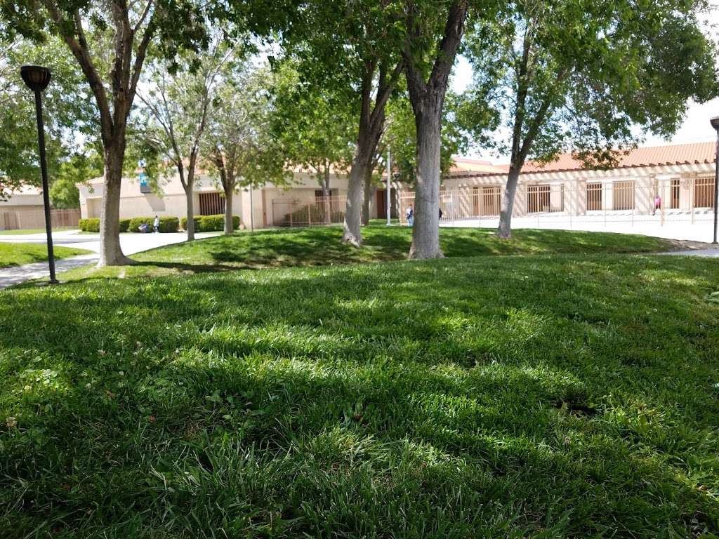 Cactus Middle School | 3243 E Ave R-8, Palmdale, CA 93550, USA | Phone: (661) 273-0847
