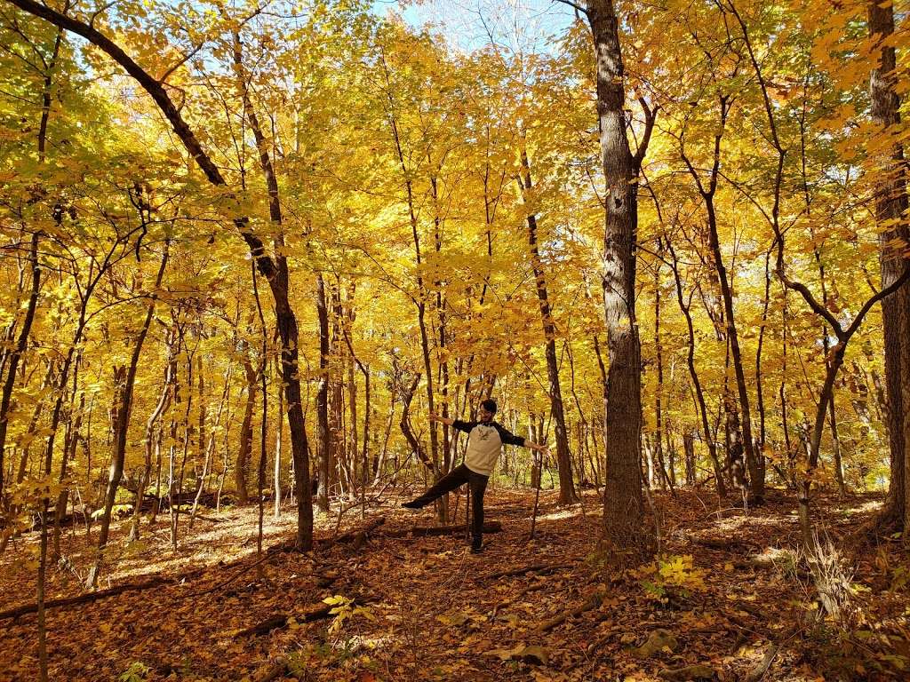 Maple Woods Natural Area | 2603-2617 NE 76th St, Gladstone, MO 64119, USA | Phone: (816) 622-0900