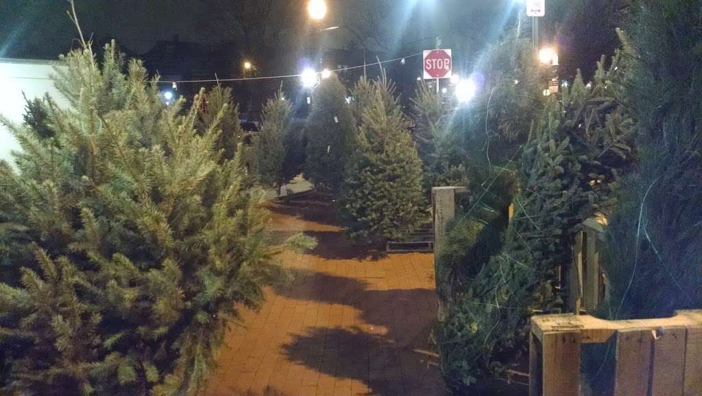 Curtis Christmas Tree Stand | 703-713 S 50th St, Philadelphia, PA 19143, USA | Phone: (215) 459-8756