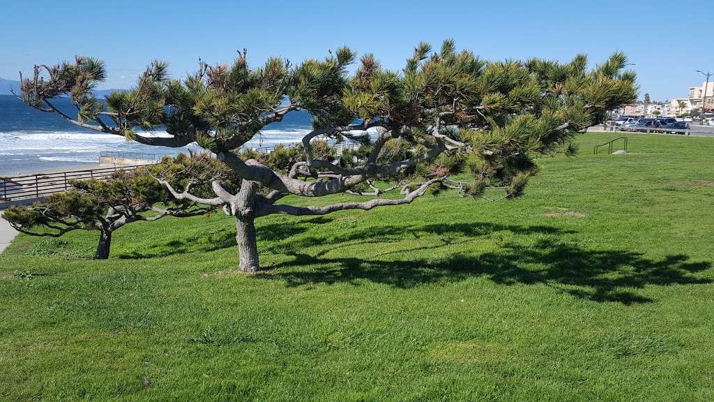 Miramar Park | 201 Paseo De La Playa, Redondo Beach, CA 90277, USA