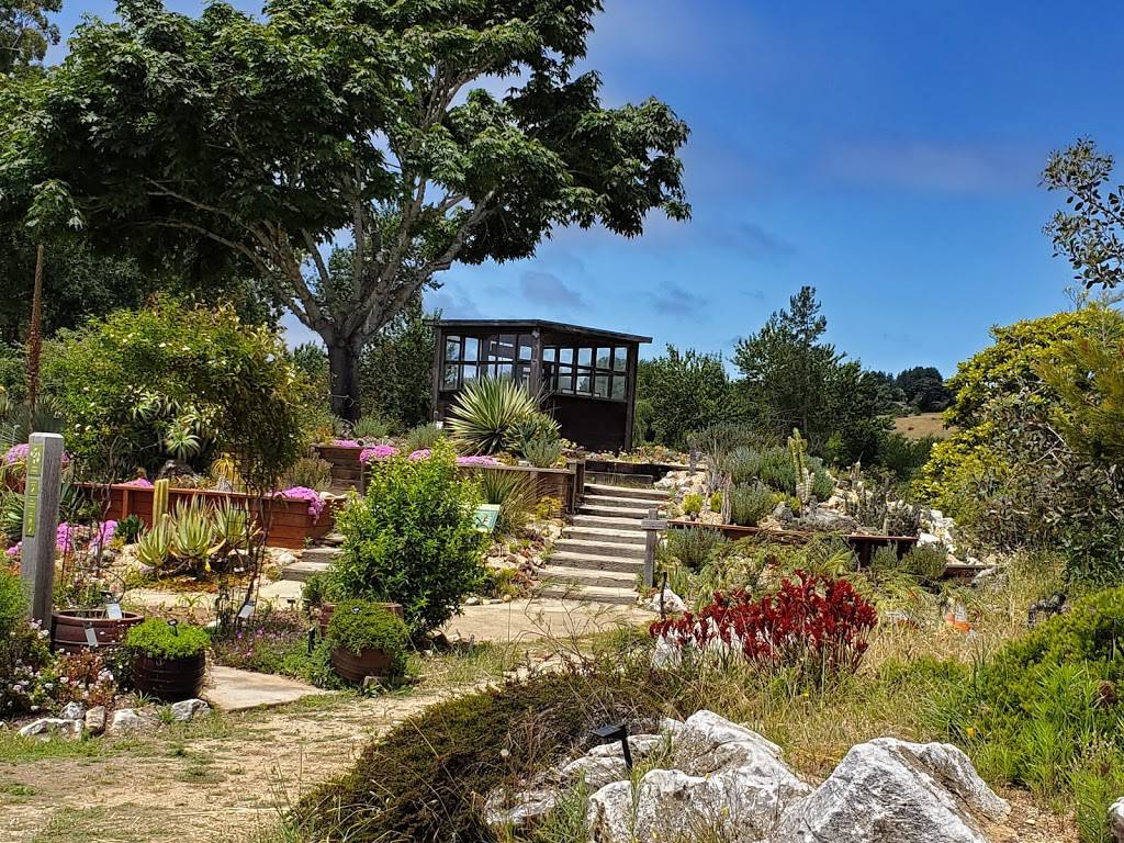 UC Santa Cruz Arboretum & Botanic Garden | 1156 High St, Santa Cruz, CA 95064, USA | Phone: (831) 502-2998