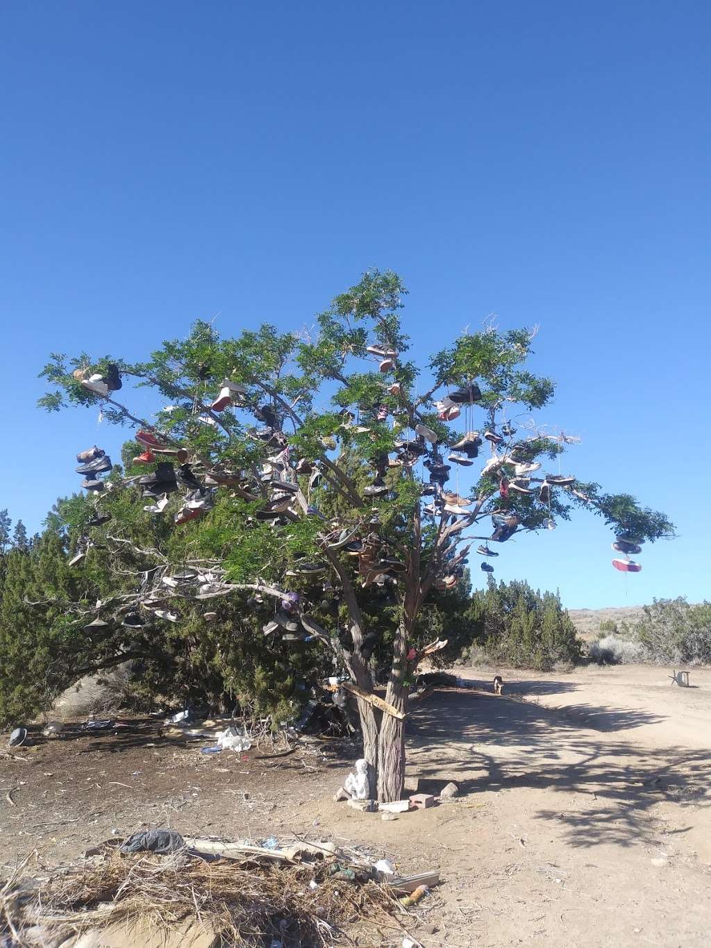 Tejon Park | Palmdale, CA 93550