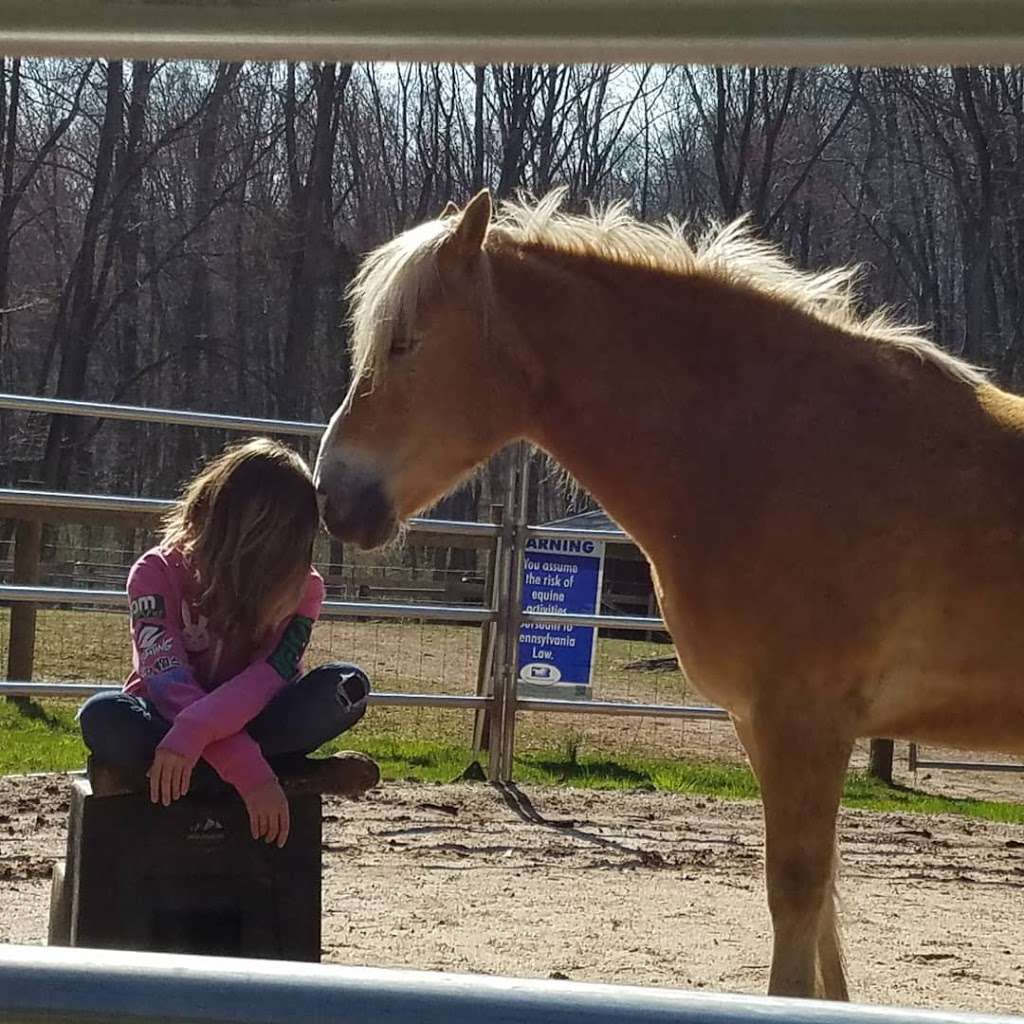 Take Heart Counseling And Equine Assisted Therapy | 4675 New Holland Rd, Mohnton, PA 19540, USA | Phone: (717) 917-7137