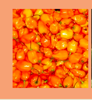 PRODUCE EXPRESS | 0927 3334 Losee Road #16, North Las Vegas, NV 89030, USA | Phone: (702) 348-8860