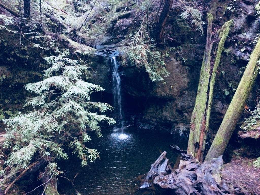 Sempervirens Falls | Sempervirens Falls Trail, Boulder Creek, CA 95006