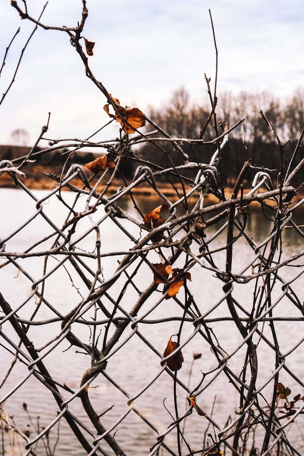 Blue Mash Nature Trail | 20400 Zion Rd, Gaithersburg, MD 20882, USA | Phone: (301) 495-4500