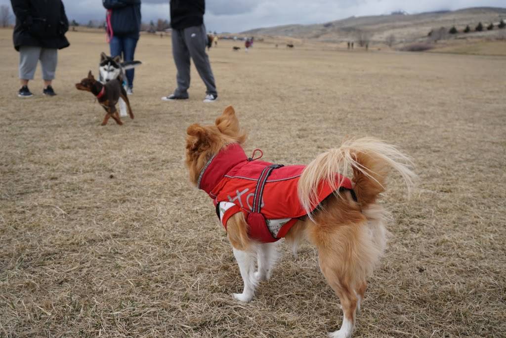 Off Leash Dog Park | 2398 Coleman Dr, Reno, NV 89503, USA | Phone: (775) 328-2000