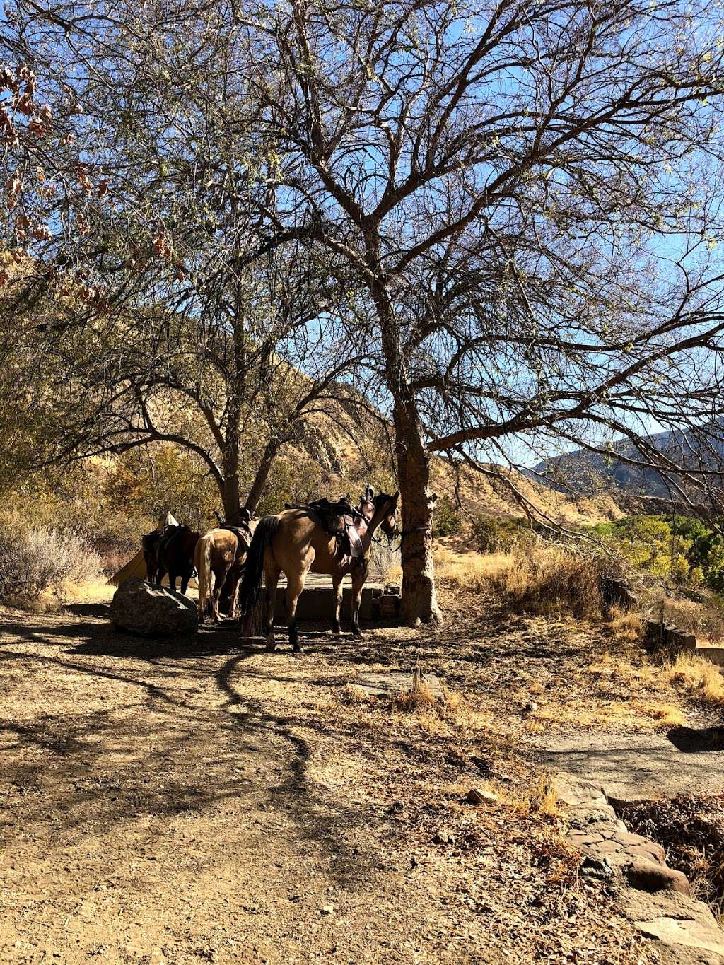 Piedra Blanca Trailhead | Rose Valley Rd, Ojai, CA 93023, USA | Phone: (661) 245-3731