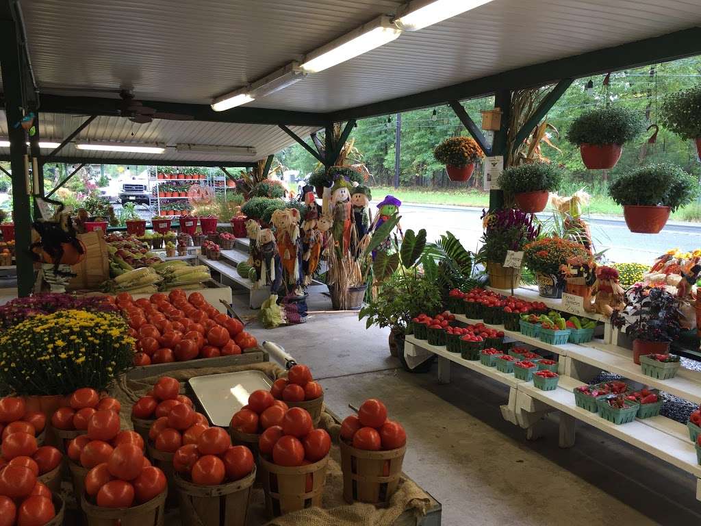 Green Top Farm Market | 2823, 1811 NJ-70, Southampton Township, NJ 08088, USA | Phone: (609) 859-3401