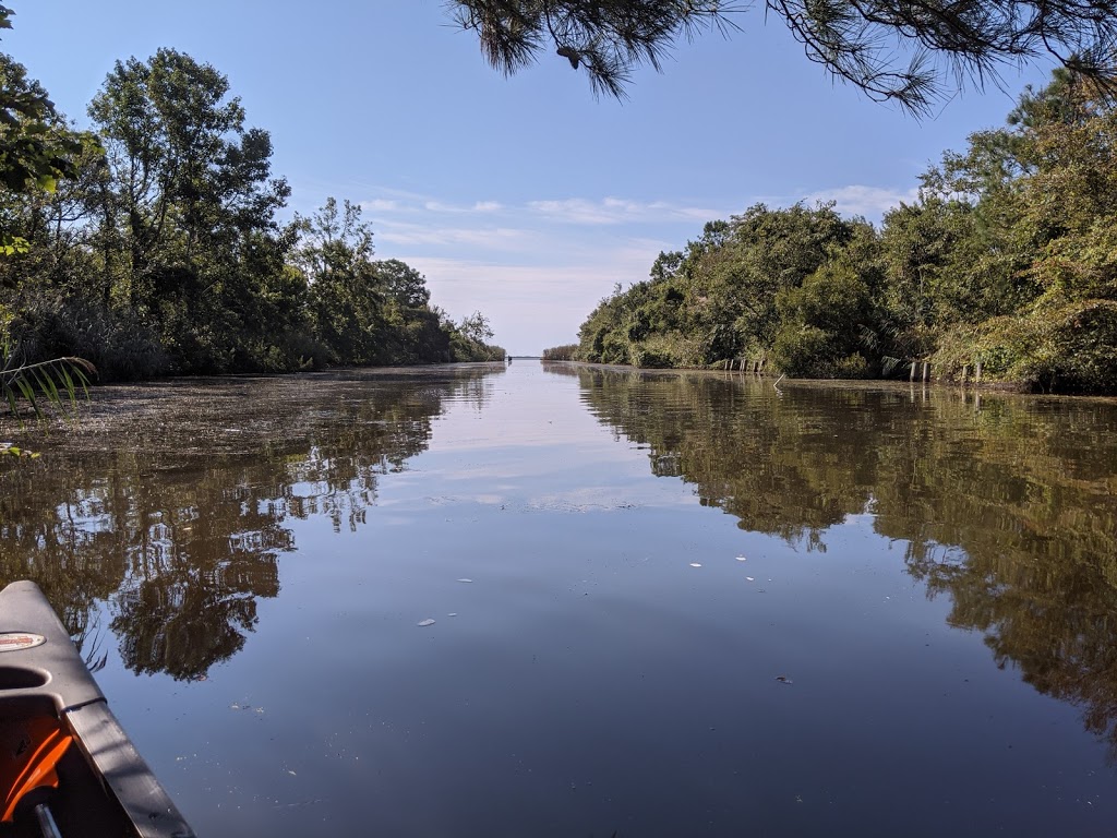 Princess Anne Wildlife Management Area Trojan Tract | Back Bay Landing Rd, Virginia Beach, VA 23457, USA | Phone: (757) 323-1581