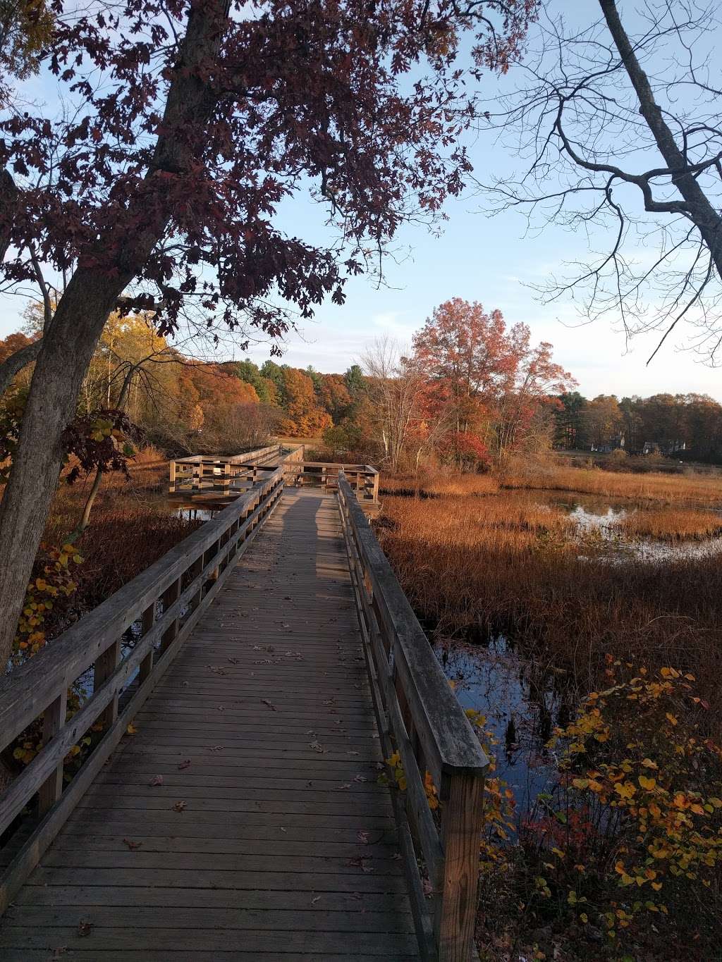 The Nature Trail and Cranberry Bog | 252 Patriot Pl, Foxborough, MA 02035, USA