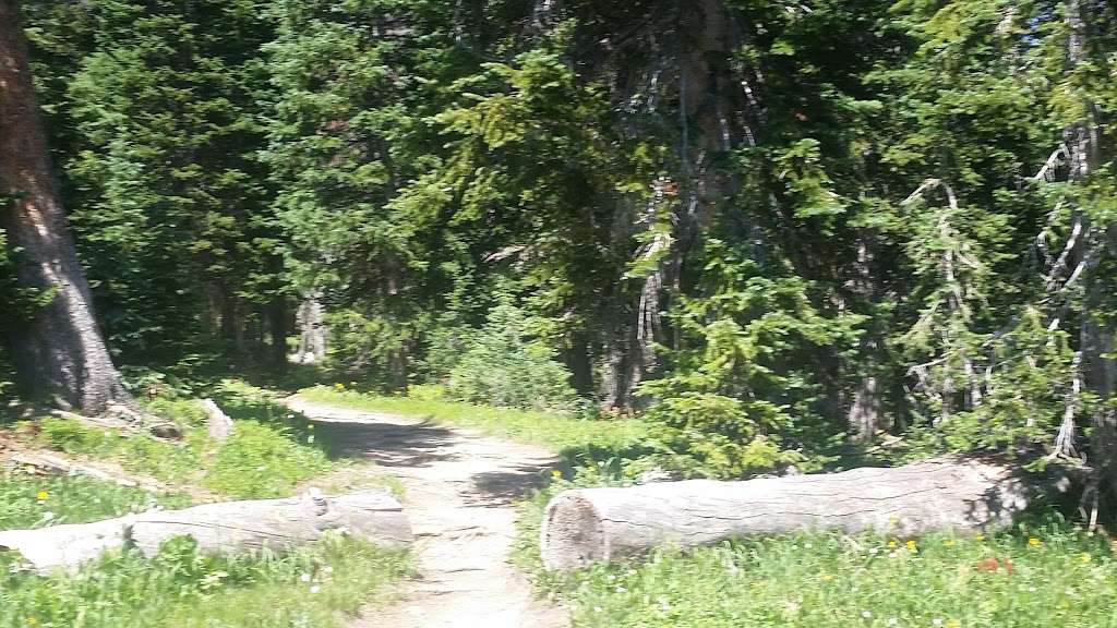 Diamond Lake Campgroup | Nederland, CO 80466