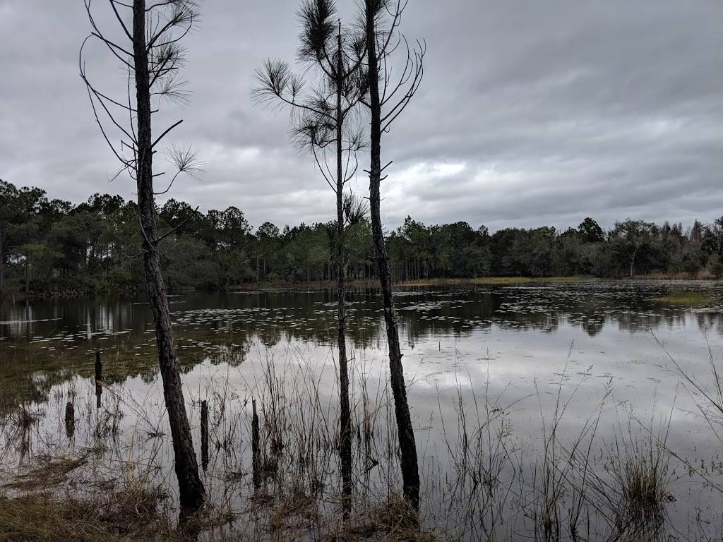 Lower Hillsborough Wilderness Preserve | 15846 Morris Bridge Rd, Thonotosassa, FL 33592, USA | Phone: (813) 987-6209