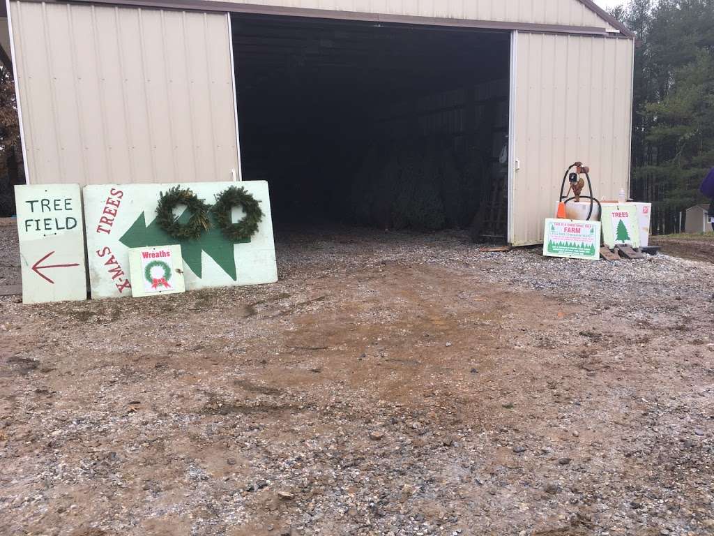 Zepps Christmas Tree Farm | 2814 Old Washington Rd, Westminster, MD 21157 | Phone: (410) 857-1016