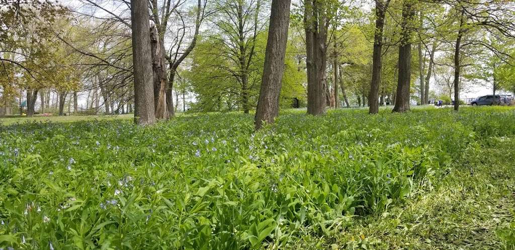 Lawrence O Lawson Park | Lawrence O Lawson Park, Evanston, IL 60201