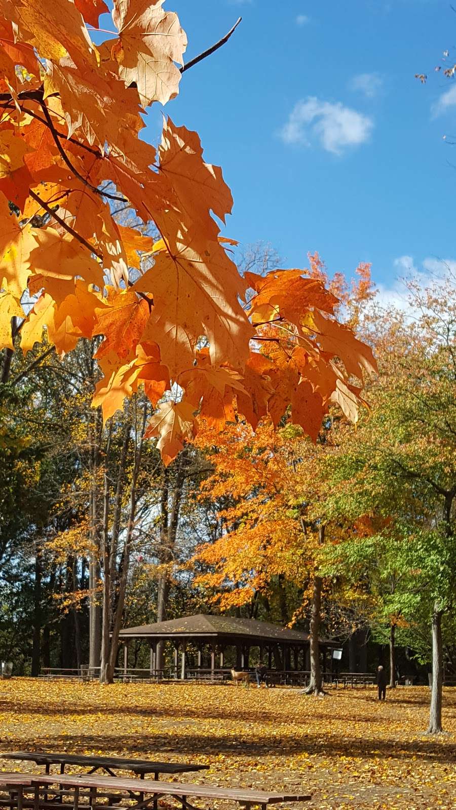 Dunkerhook Area Parking Lot | Paramus, NJ 07652, USA