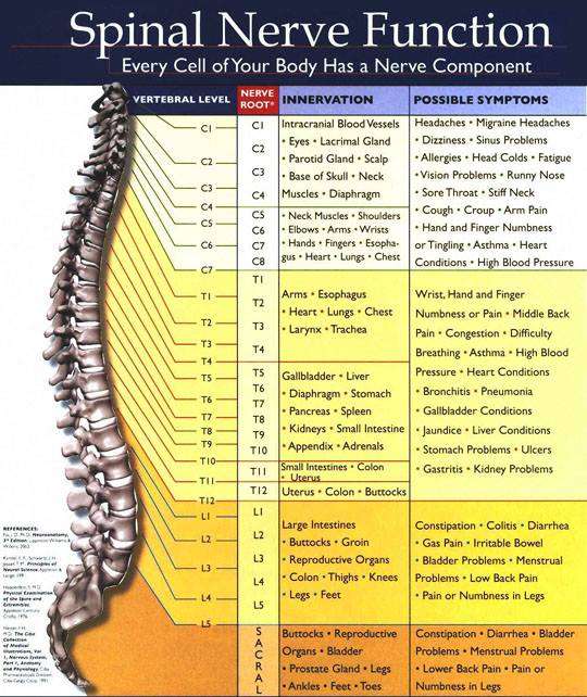 Accident Pain Clinics of Miami Lakes | 14645 NW 77th Ave suite 107, Miami Lakes, FL 33014, USA | Phone: (855) 954-2273