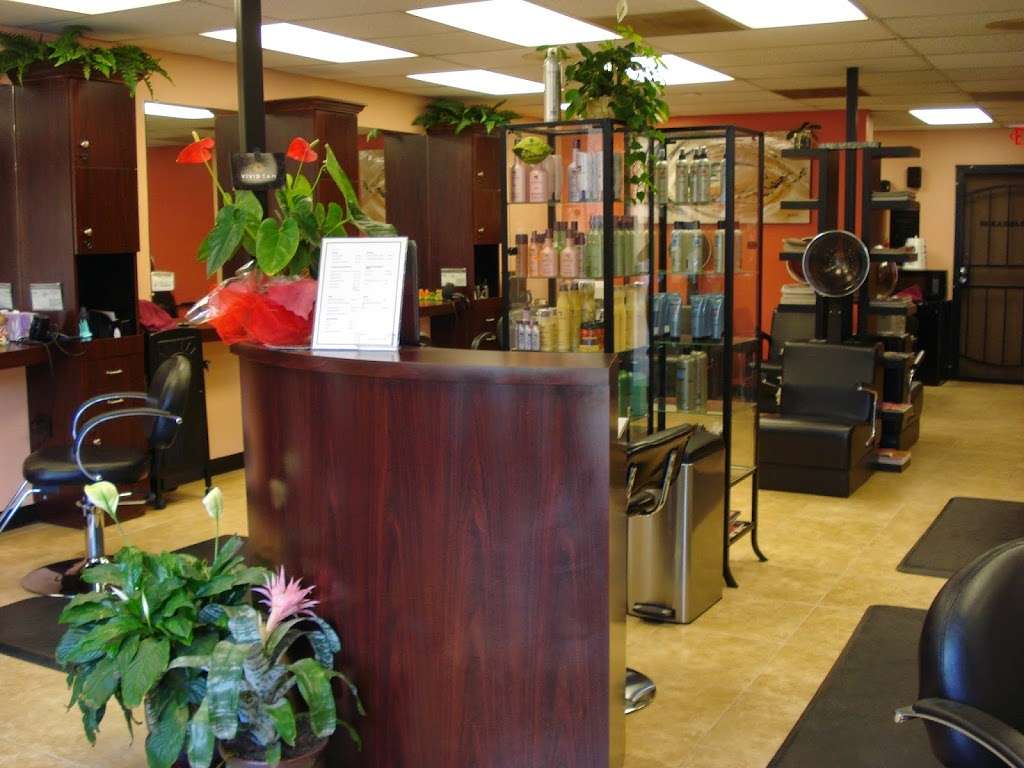 Shearology Salon San Diego | 10463 San Diego Mission Rd, San Diego, CA 92108, USA | Phone: (619) 326-8508