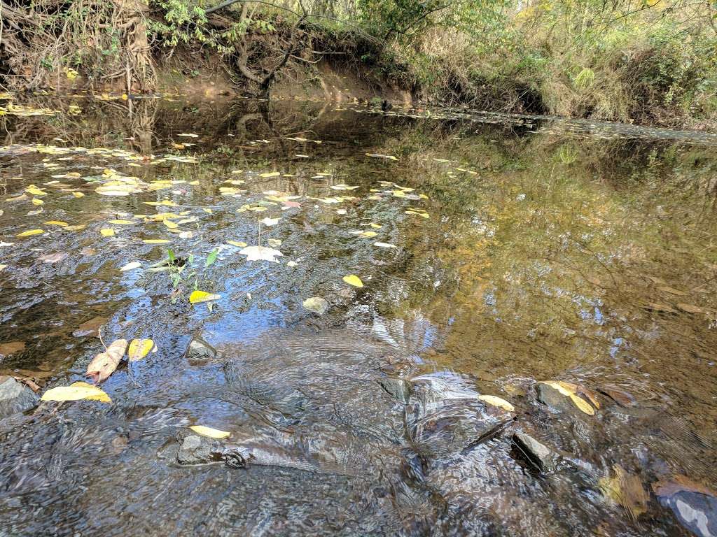 Horsepen Run Stream Valley Park | Herndon, VA 20171