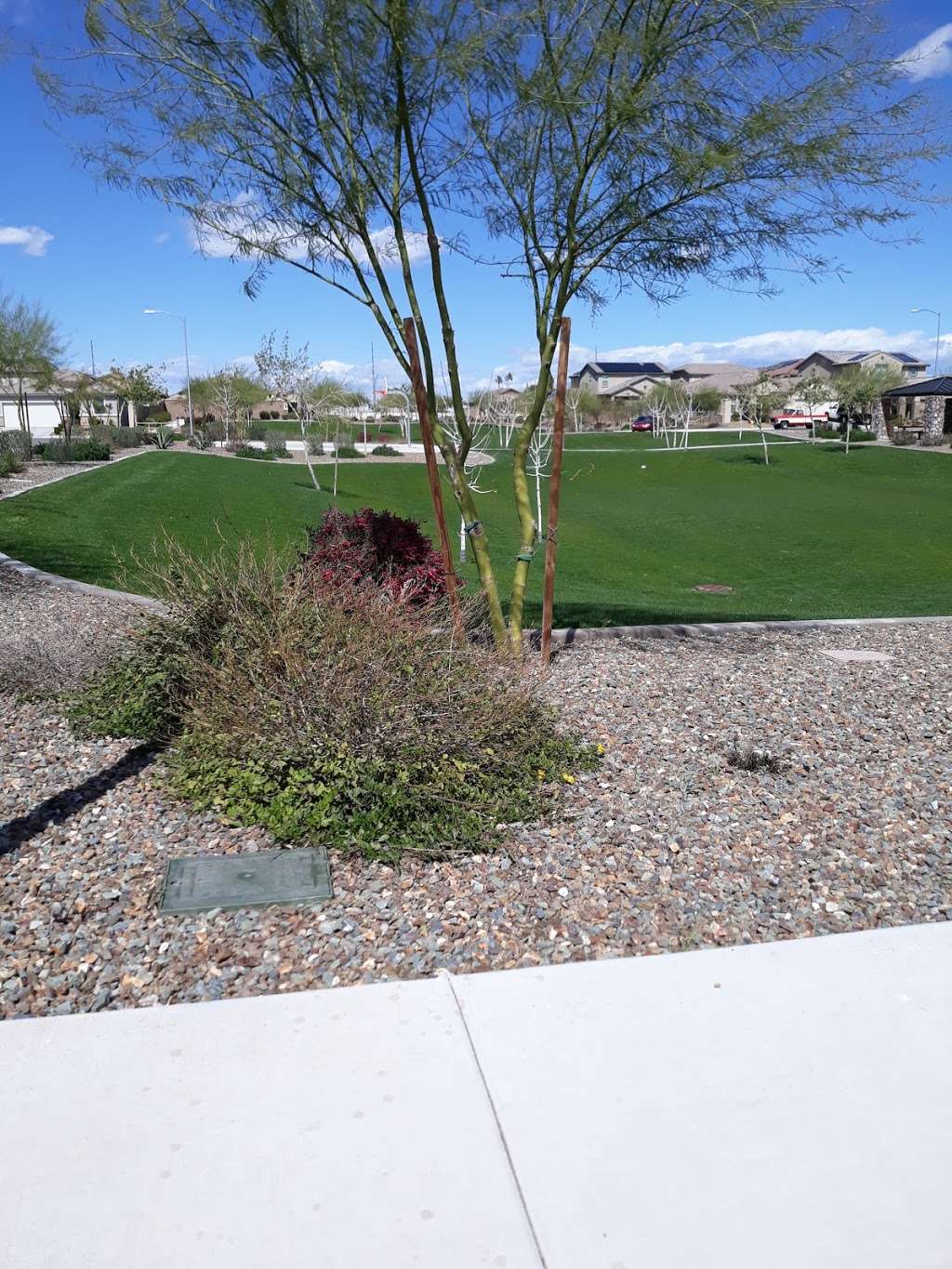 Three Olive Park HOA Park | Peoria, AZ 85345, USA