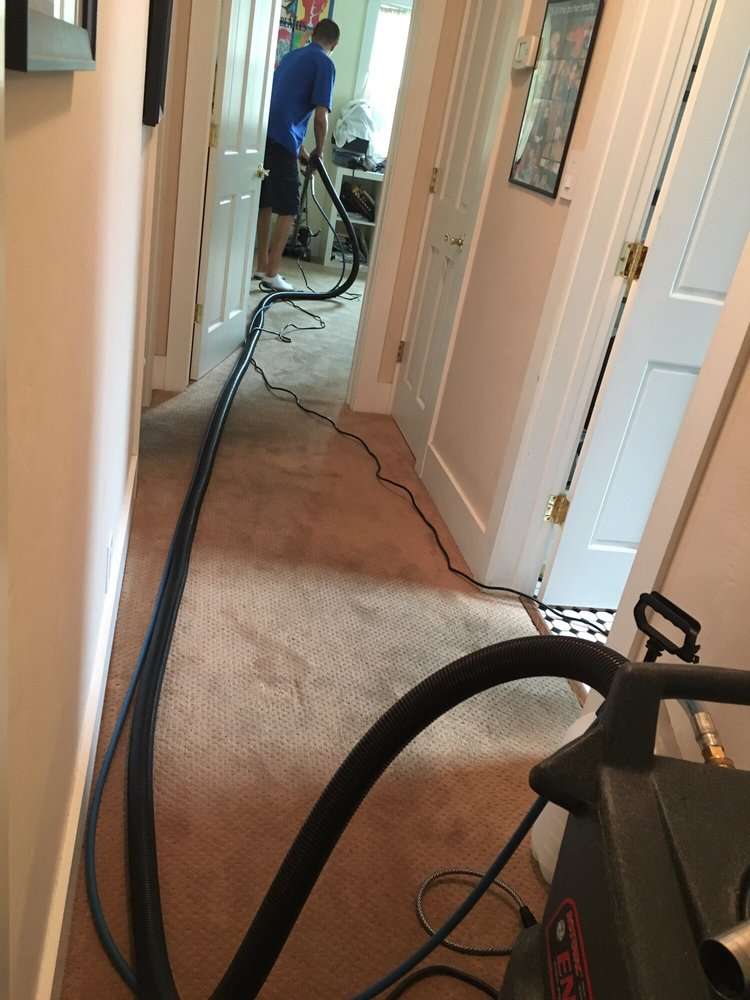 Moore Carpet Cleaning | 9501 W 144th Pl #233, Orland Park, IL 60462, USA | Phone: (708) 218-9789