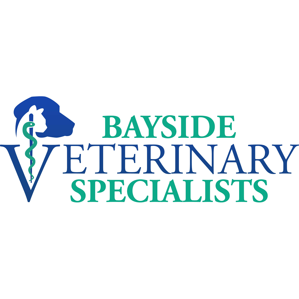 Bayside Veterinary Specialists | 238 E Bearss Ave, Tampa, FL 33613, USA | Phone: (813) 727-5890