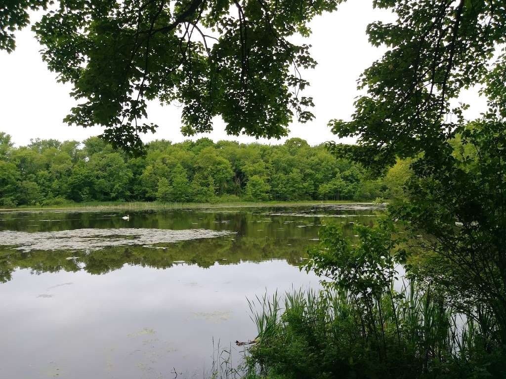 Carls Pond | Cumberland, RI 02864, USA