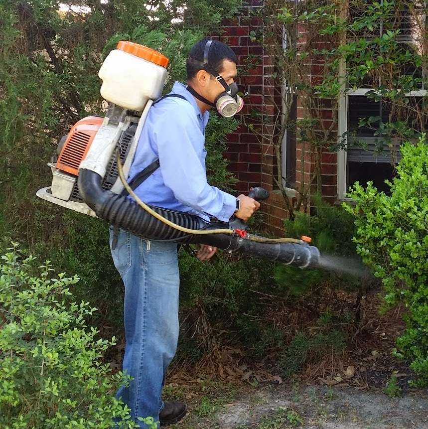 Advantage Exterminating Service | 17219 Grey Mist Dr, Friendswood, TX 77546 | Phone: (281) 334-8301