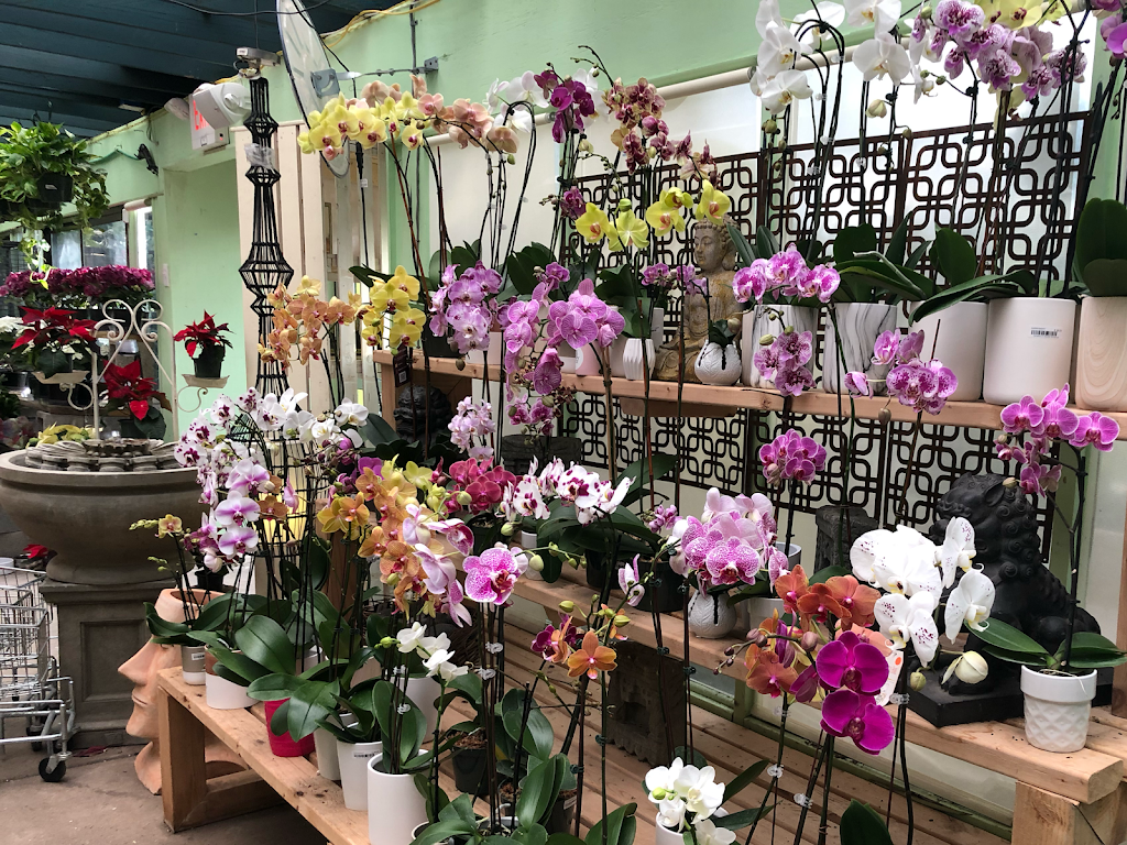 Potomac Petals & Plants | 9545 River Rd, Potomac, MD 20854, USA | Phone: (301) 765-7670